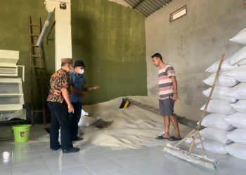 Rugikan Petani, Masan Tolak Rencana Impor 1 Juta Ton