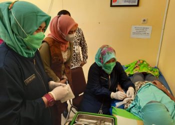 IBI Genjot Program Atasi Kematian Ibu dan Bayi