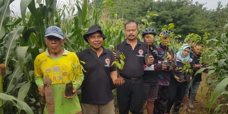 Peringati Hari Lingkungan Hidup, Tanam Ratusan Pohon di Patiayam