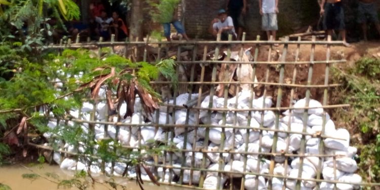 Kritis, Warga Ngembal Kulon Gotong Royong Perbaiki Tanggul