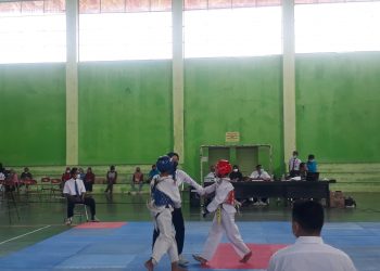 Tingkatkan Potensi Atlet, Disdikpora Siapkan Program PPLOPD