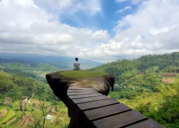 wisata goa pinus malang